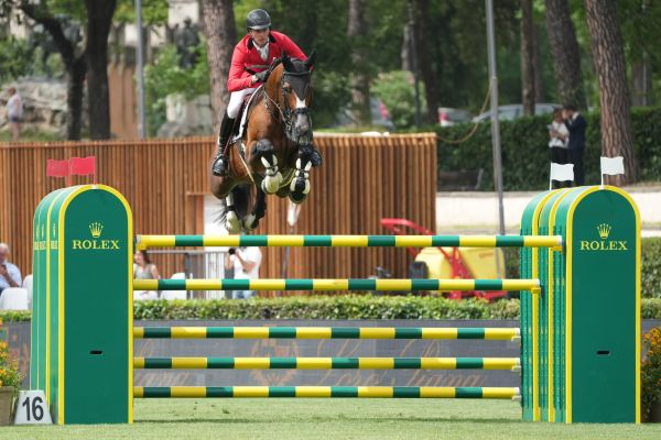 5* Grand Prix Stallion Akarad Hero Z to Zangersheide